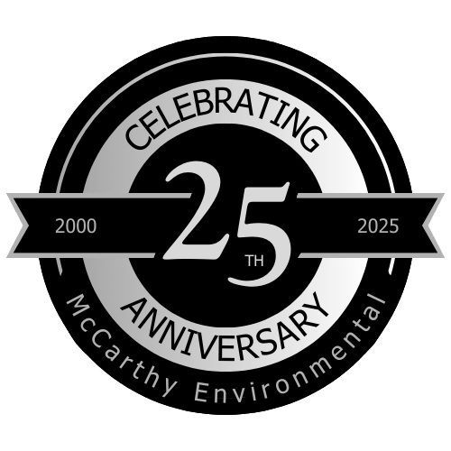 25 Year Anniversary Icon